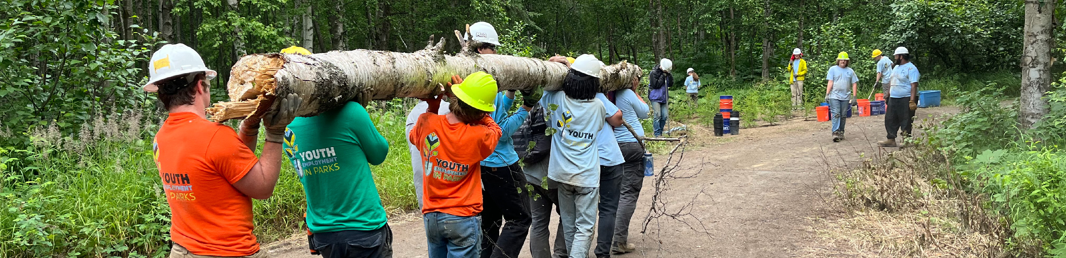 Youth Employment in Parks